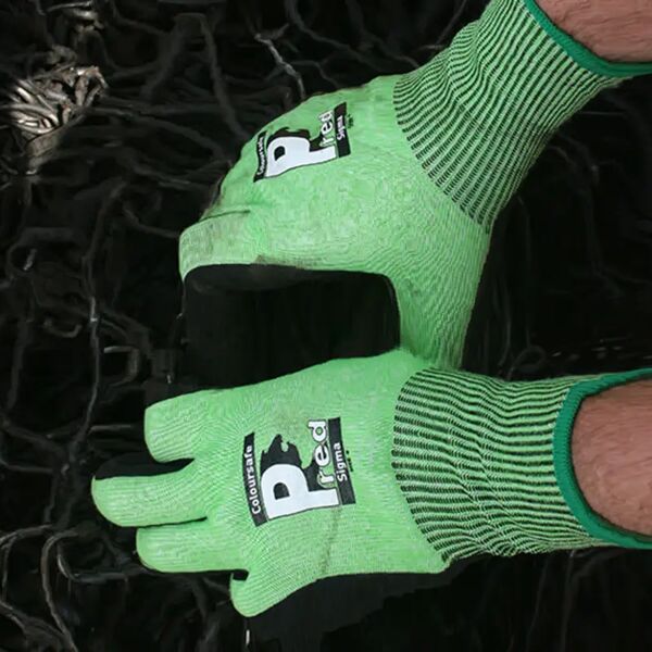 Pred Sigma - Vending Thumbnail